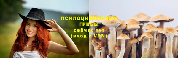 СК Белокуриха